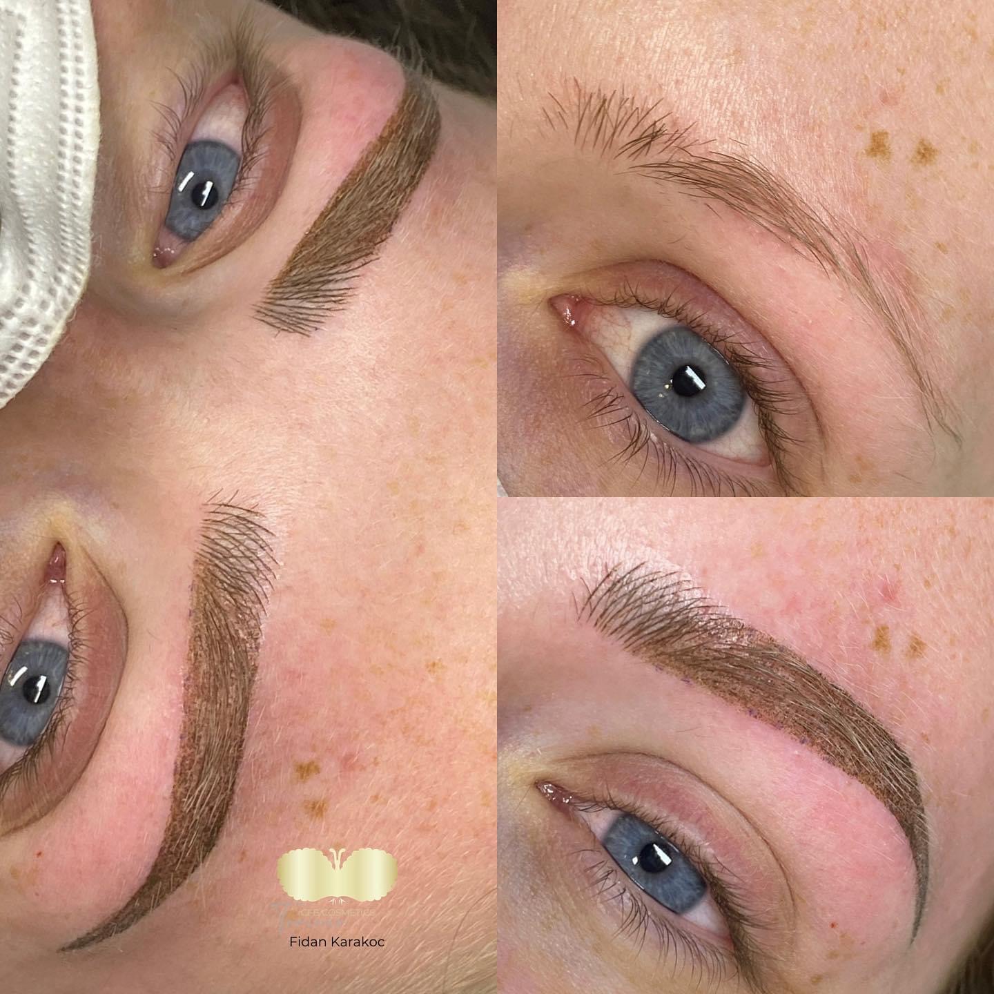 Powderbrows